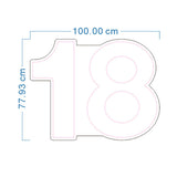 HIRE - '18' Pink Neon LED Light