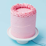 Sprinks Icing Piping Tip 2D
