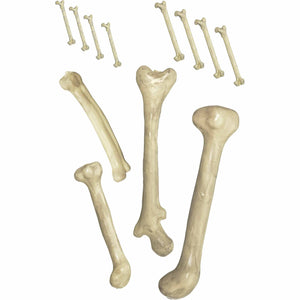 Bag of Bones
