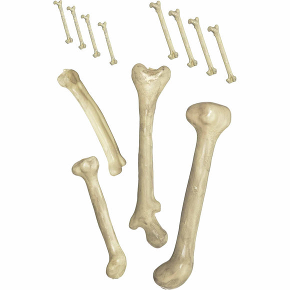 Bag of Bones