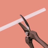 SPRINKS - CAKE DOWELS - SMALL