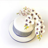 FMM Press-Ice Polka 2