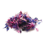 Australian Organic Cornflour Edible Flowers Jar
