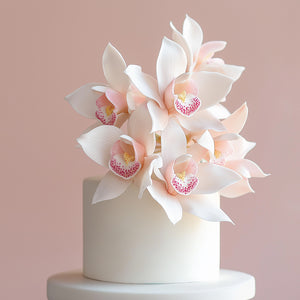 FMM Cymbidium Orchid Cutter Set