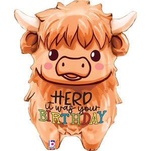 STANDARD SHAPE - HIGHLAND COW