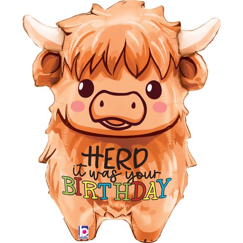 STANDARD SHAPE - HIGHLAND COW