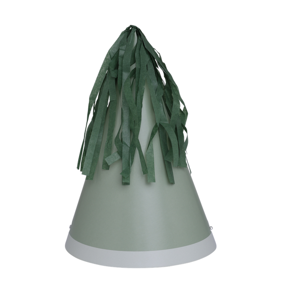 Birthday Paper Hat - EUCALYPTUS