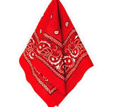Mix N Match Bandanas