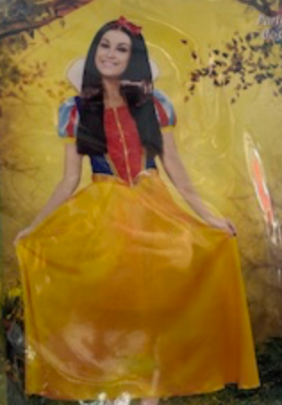 COSTUME - SNOW PRINCESS (SMALL)