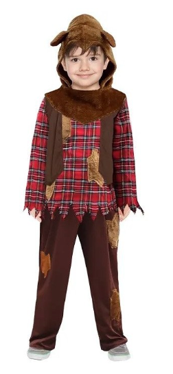 COSTUME - WOLF BOY (BOYS, MEDIUM)