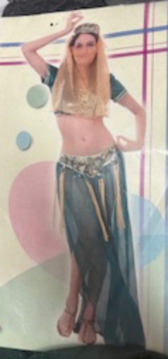 COSTUME - HAREM FANTASY (MEDIUM/ LARGE)