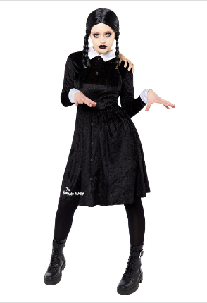 The Addams Family Wednesday Adult Costume 14-16