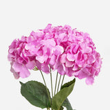 Hydrangea Bundle 5 Stems Vibrant Pink 33cm