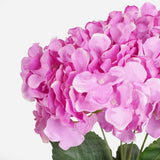 Hydrangea Bundle 5 Stems Vibrant Pink 33cm