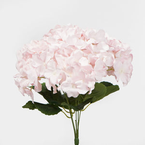 HYDRANGEA BUNCH - BABY PINK