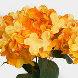 HYDRANGEA BUNCH - AUTUMN ORANGE
