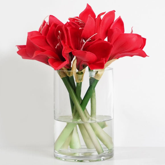 CLIVIA 7 STEM FLOWER BUNDLE - BOLD RED