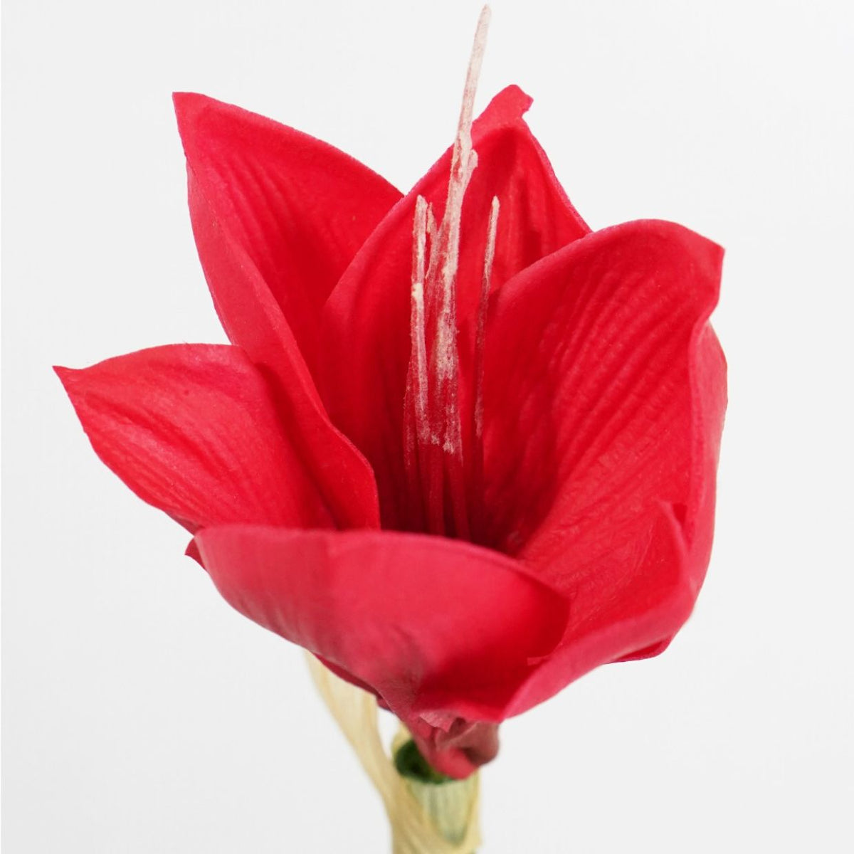 Aunt Alma Clivia 7 Stem Bundle Bold Red Artificial Flowers | Planet Bounce