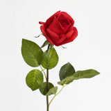 Pixie Rose Long Stem Scarlet Natural Touch 45cm