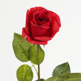 Pixie Rose Long Stem Scarlet Natural Touch 45cm