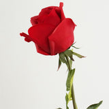 Pixie Rose Long Stem Scarlet Natural Touch 45cm