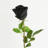 Pixie Black Natural Touch Artificial Rose Stem 45cm