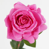 JULIE TEA ROSE STEM - BARBIE PINK