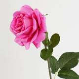 JULIE TEA ROSE STEM - BARBIE PINK