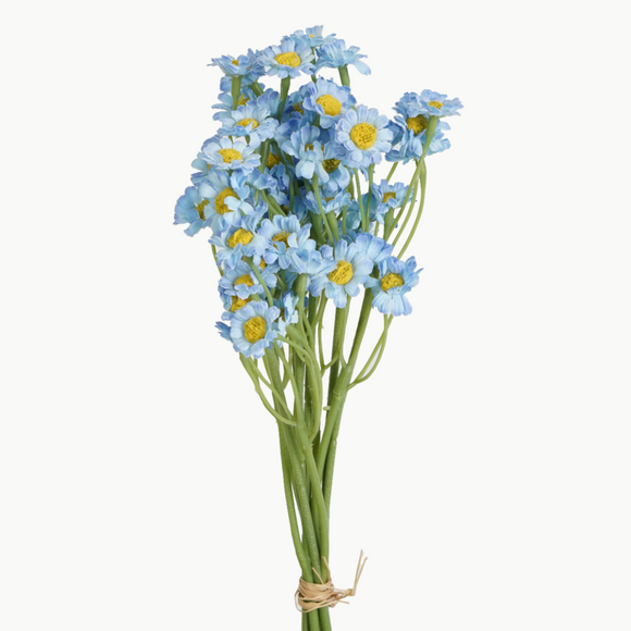 GARDEN DAISIES - BLUE