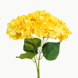 Hydrangea Bundle 5 Stems Yellow 33cm