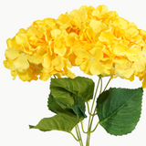 Hydrangea Bundle 5 Stems Yellow 33cm