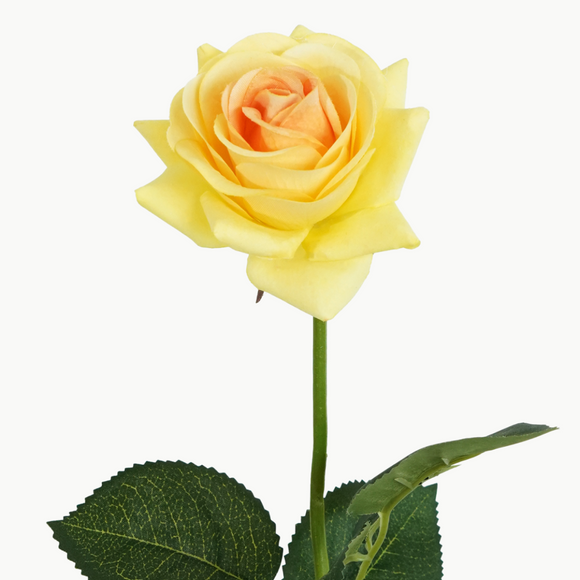 RUBY ROSE STEM - YELLOW