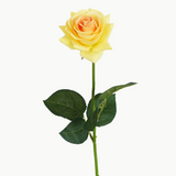 RUBY ROSE STEM - YELLOW