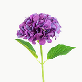 HYDRANGEA STEM - BLOOM PURPLE NATURAL TOUCH