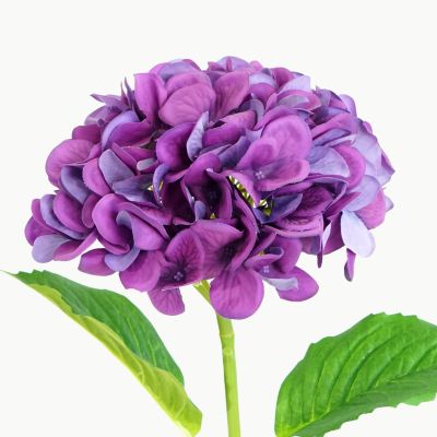 HYDRANGEA STEM - BLOOM PURPLE NATURAL TOUCH