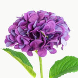 HYDRANGEA STEM - BLOOM PURPLE NATURAL TOUCH