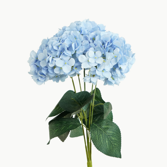 HYDRANGEA BUNCH - BABY BLUE