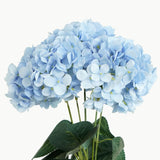HYDRANGEA BUNCH - BABY BLUE