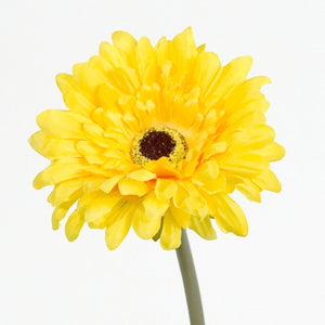 GERBERA DAISY STEM - YELLOW