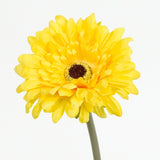GERBERA DAISY STEM - YELLOW