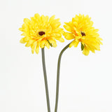 GERBERA DAISY STEM - YELLOW