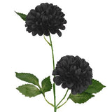 Frank Kafka Dahlia 2 Flower Stem Black 64cm