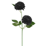 Frank Kafka Dahlia 2 Flower Stem Black 64cm