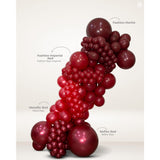 Sempertex 30cm Fashion Merlot Latex Balloon