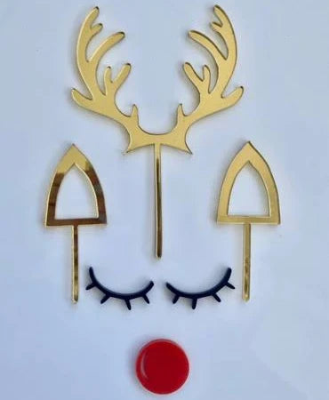DESIGNER CHRISTMAS CAKE TOPPER DECORATING KIT