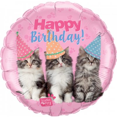45cm Foil Balloon - HAPPY BIRTHDAY (CAT)