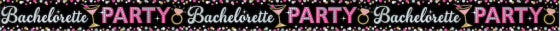 BACHELORETTE PARTY BANNER