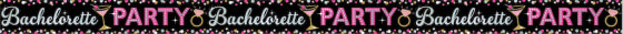 BACHELORETTE PARTY BANNER