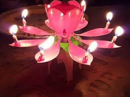 Birthday Candle - MUSICAL SPINNING FLOWER
