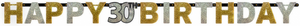 **CLEARANCE** Sparkling Celebration Banners 30th
